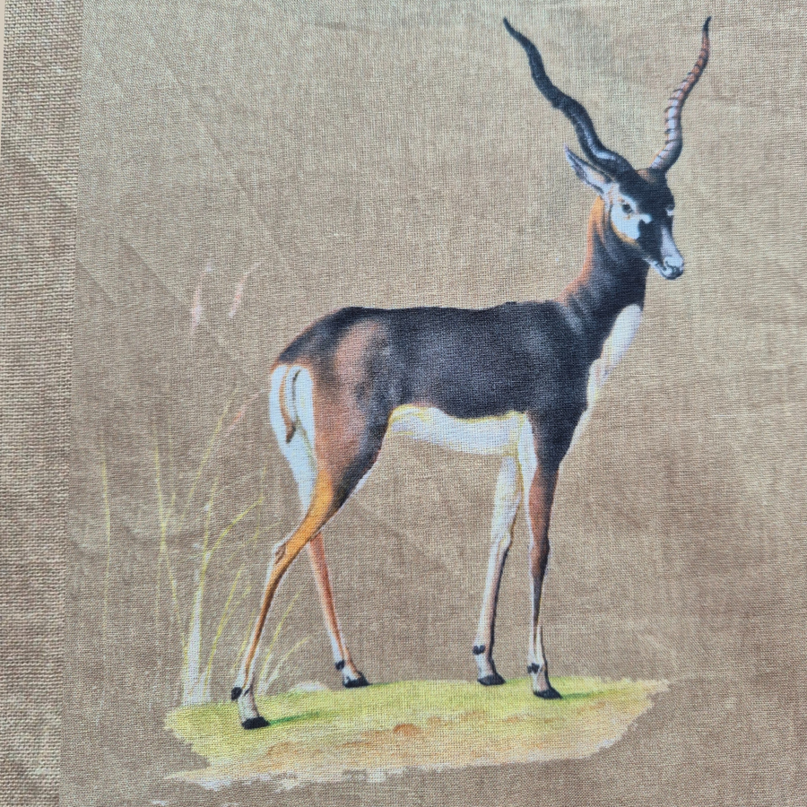 Blackbuck Shirt