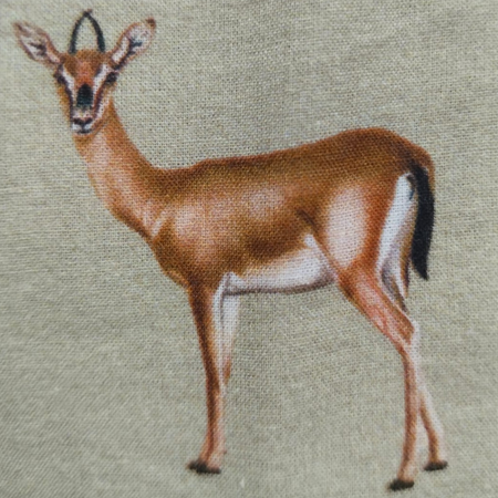 Chinkara Shirt